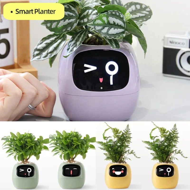 Smart Planter